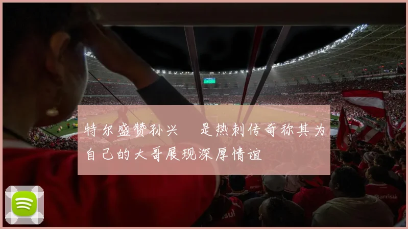 特尔盛赞孙兴慜是热刺传奇称其为自己的大哥展现深厚情谊