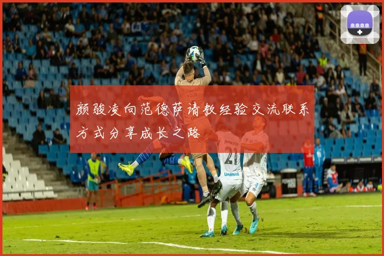 颜骏凌向范德萨请教经验交流联系方式分享成长之路