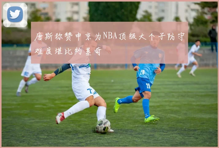 唐斯称赞申京为NBA顶级大个子防守难度堪比约基奇