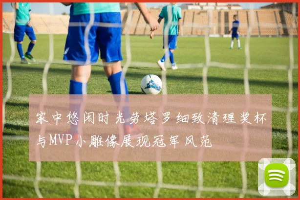 家中悠闲时光劳塔罗细致清理奖杯与MVP小雕像展现冠军风范