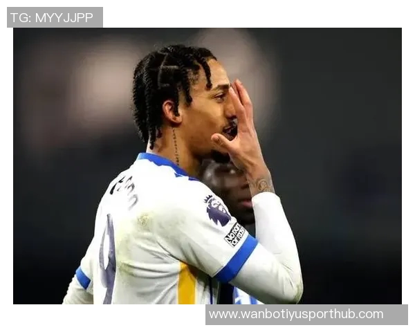 马雷斯卡谈大力界外球或将借鉴德拉普父亲的经验与技巧